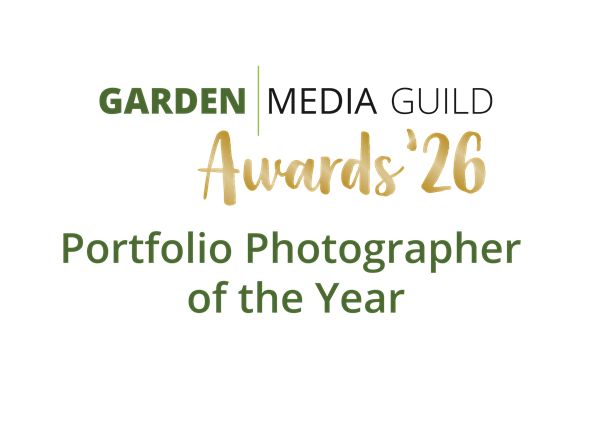 11 Portfolio Photographer of the Year 2026