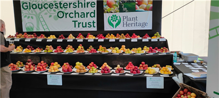 Gloucestershire Orchard Trust for apple tasting and a guided tour of the orchards