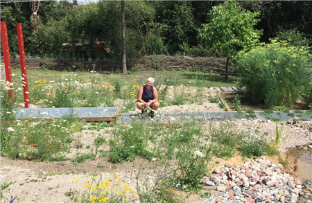 GMG Visit to Hilldrop Garden 