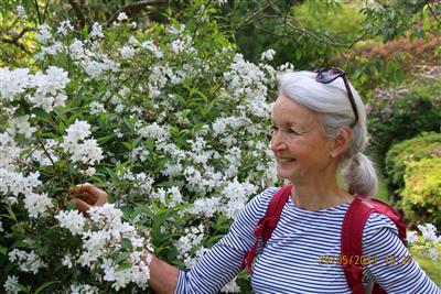 Katrina Roche RHS Level 2 Diploma in the Principles and Practices of Horticulture September 2016