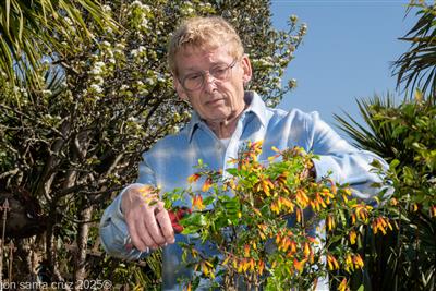 GEOFF STONEBANKS Award Winning Garden owner, Published garden media writer and broadcaster.