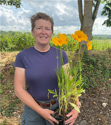 Rosemary Hardy HND commercial horticulture